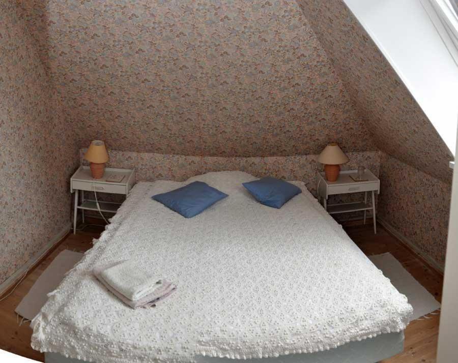 アリンエ Danchelshus Bed & Breakfast エクステリア 写真